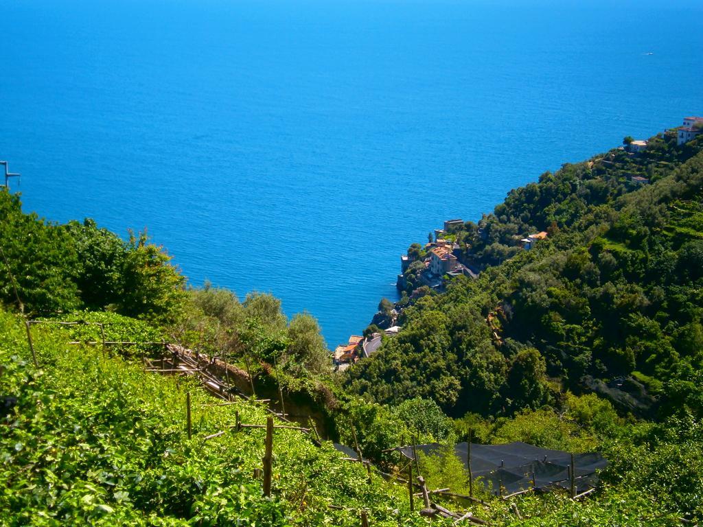 Villa En Rose Ravello Rom bilde